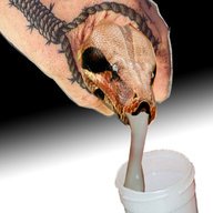 sashausb
