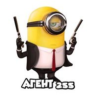 Agent255
